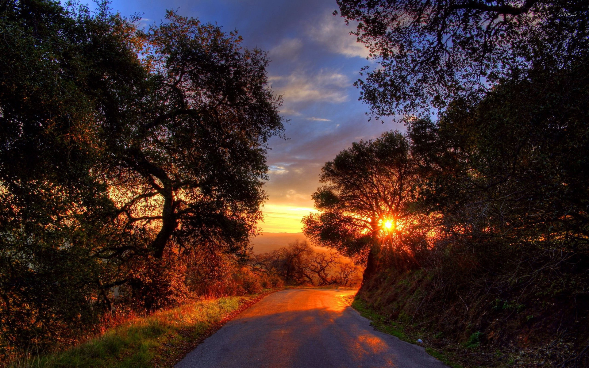 Amazing Mountain Road Wallpapers