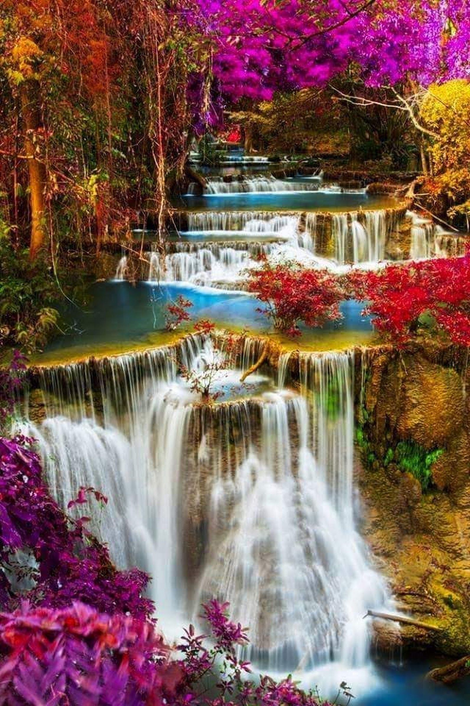 Amazing Nature Wallpapers