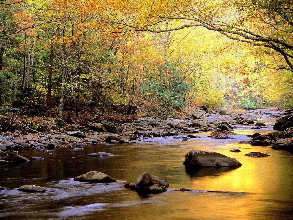 Amazing River Photography Hd Landscape Wallpapers