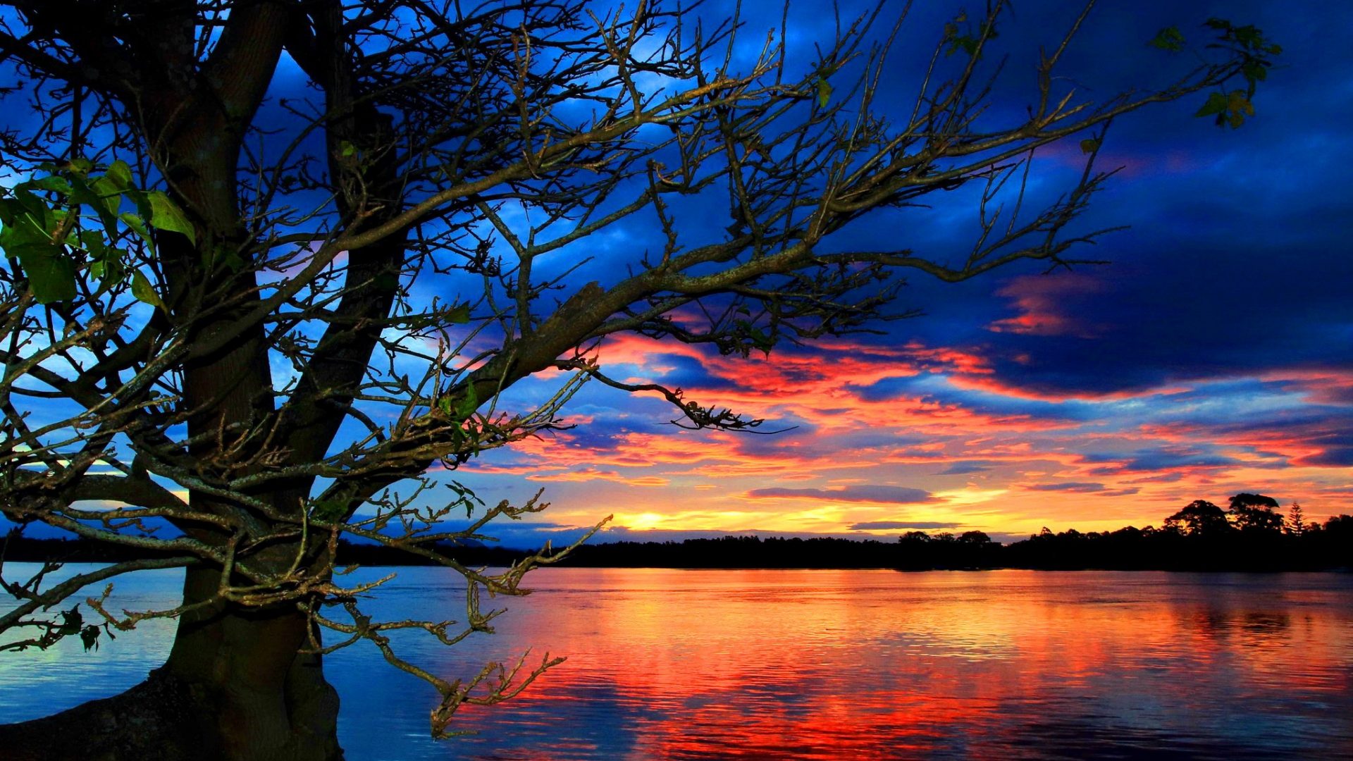 Amazing Sunset Over Lake 8K Wallpapers