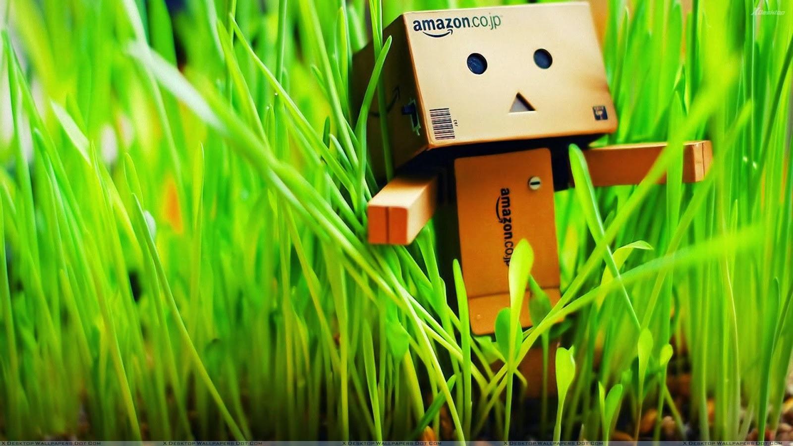 Amazon Box Wallpapers