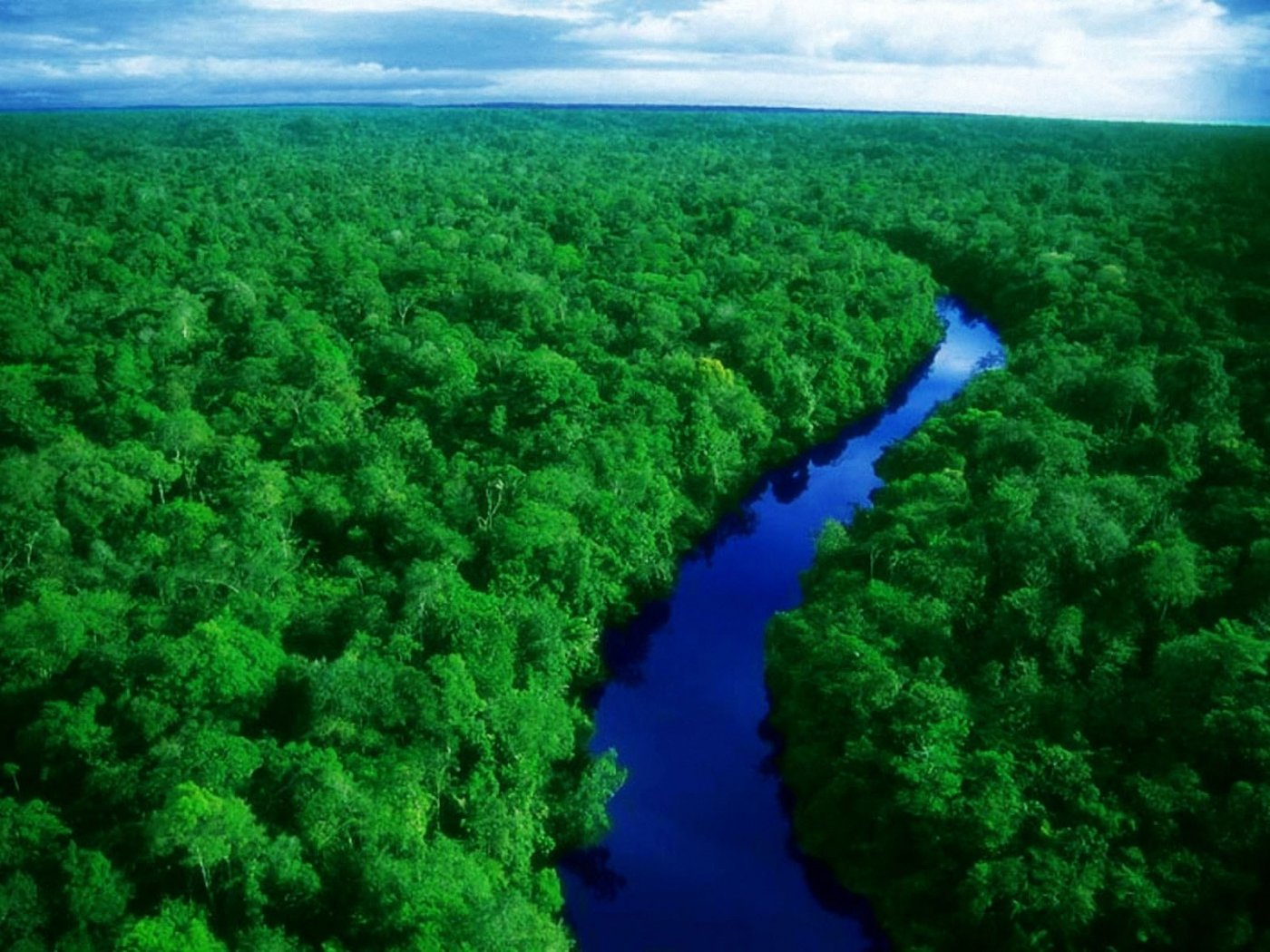 Amazon River Wallpapers