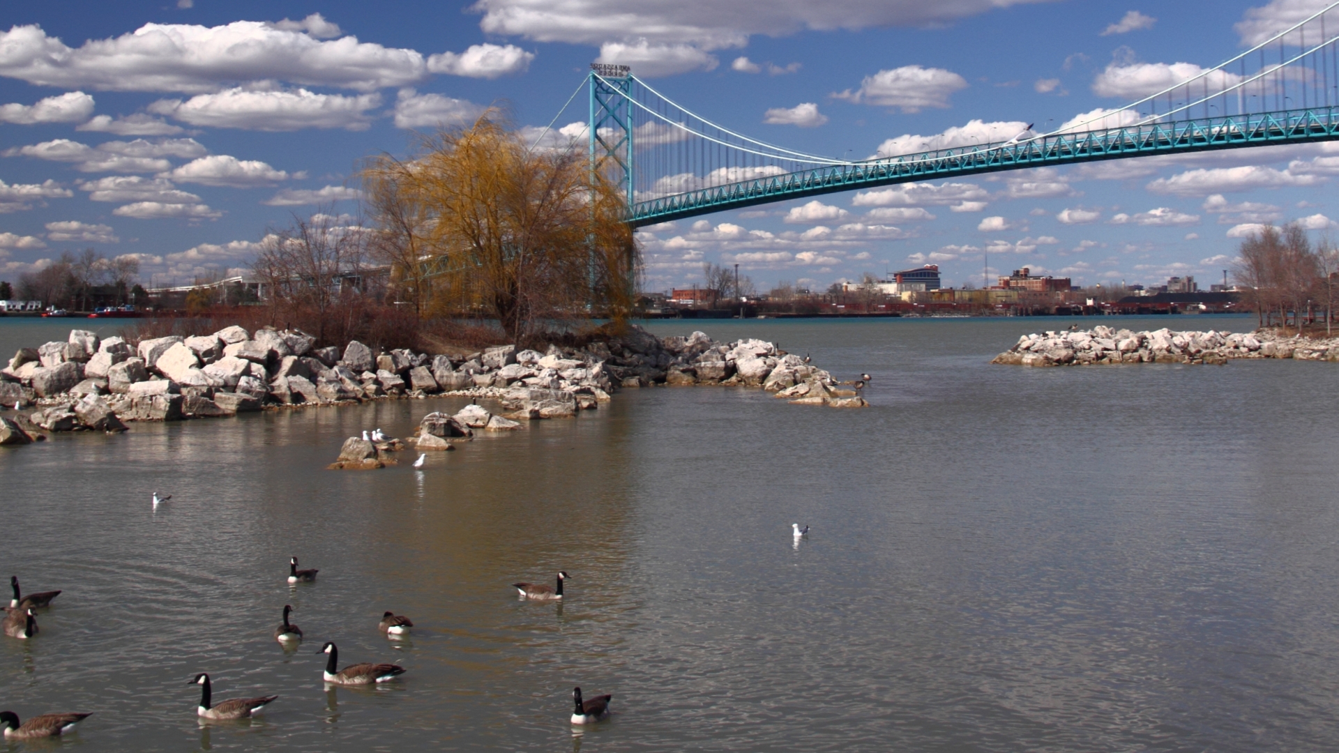 Ambassador Bridge Wallpapers