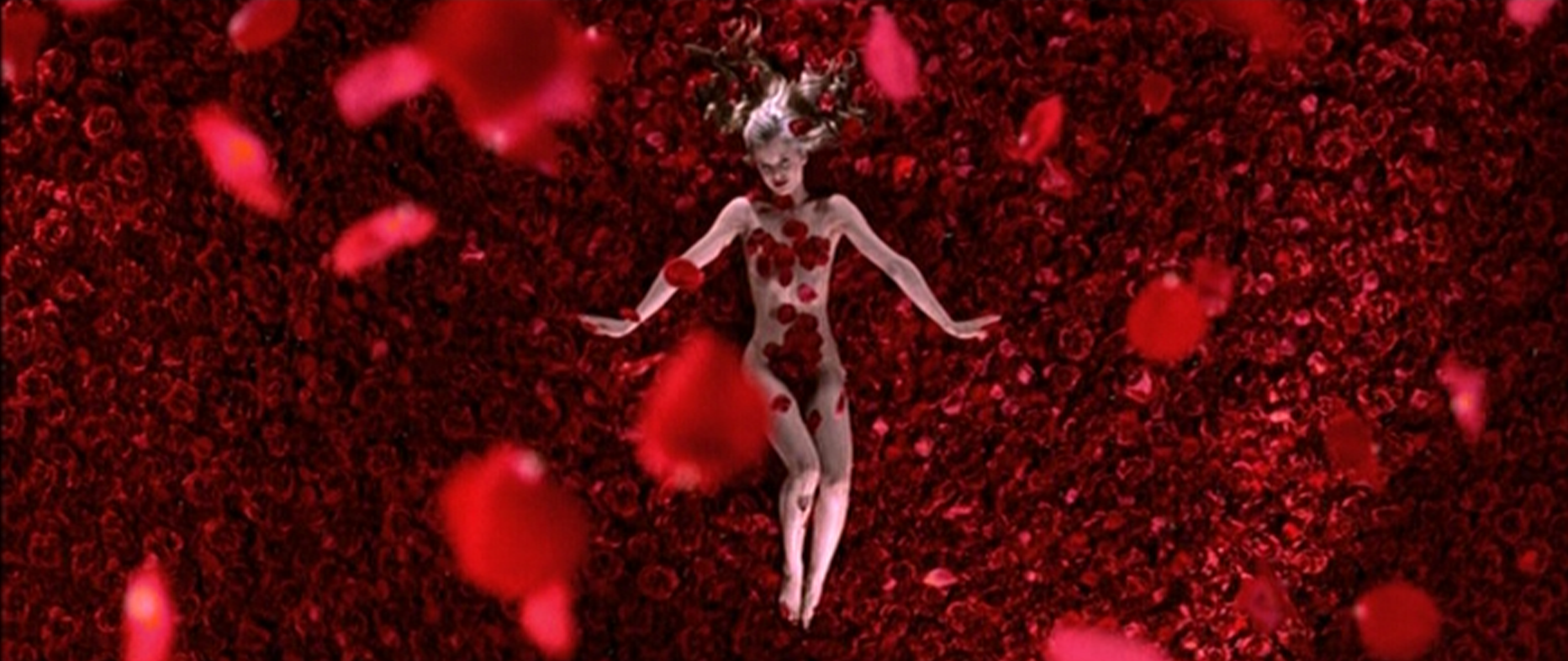 American Beauty Wallpapers