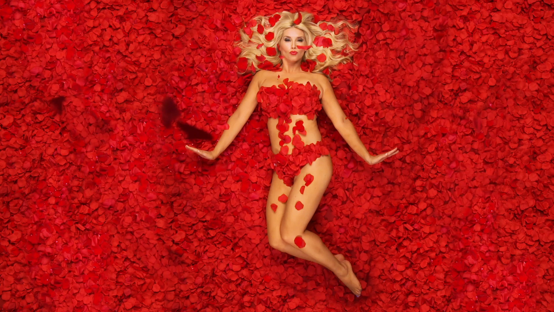 American Beauty Wallpapers