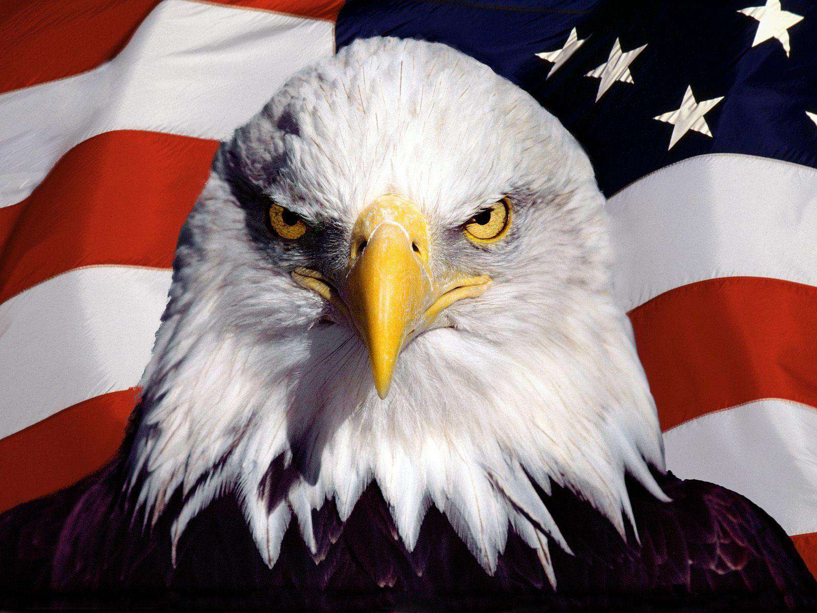 American Eagle Flag Wallpapers