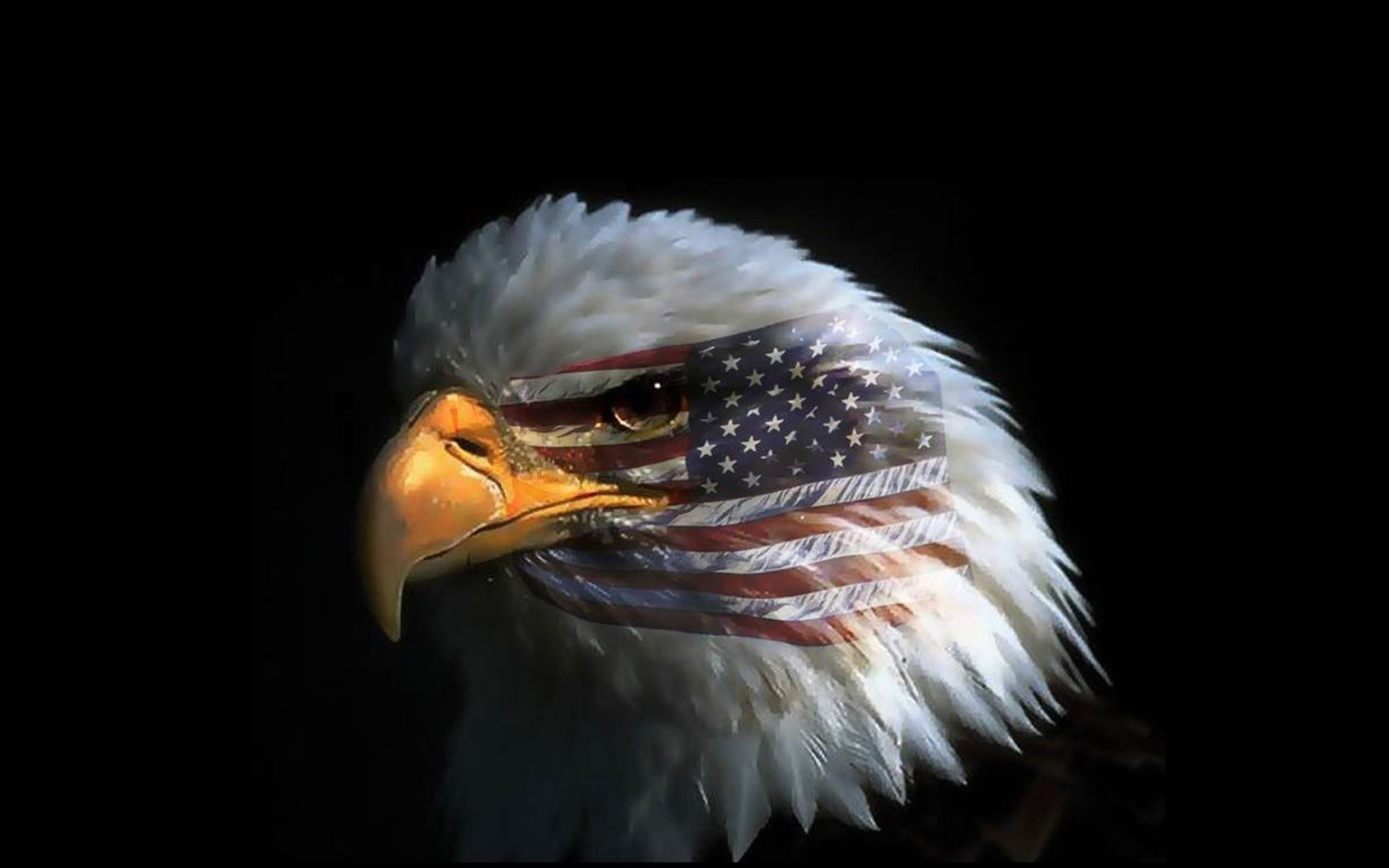 American Eagle Flag Wallpapers