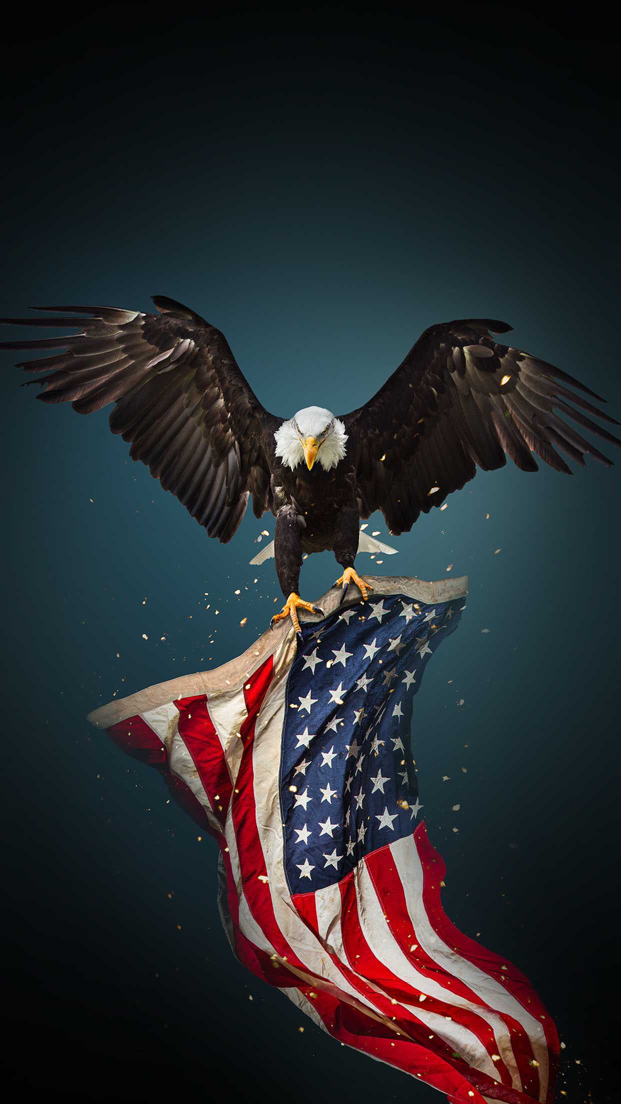 American Eagle Hd Wallpapers