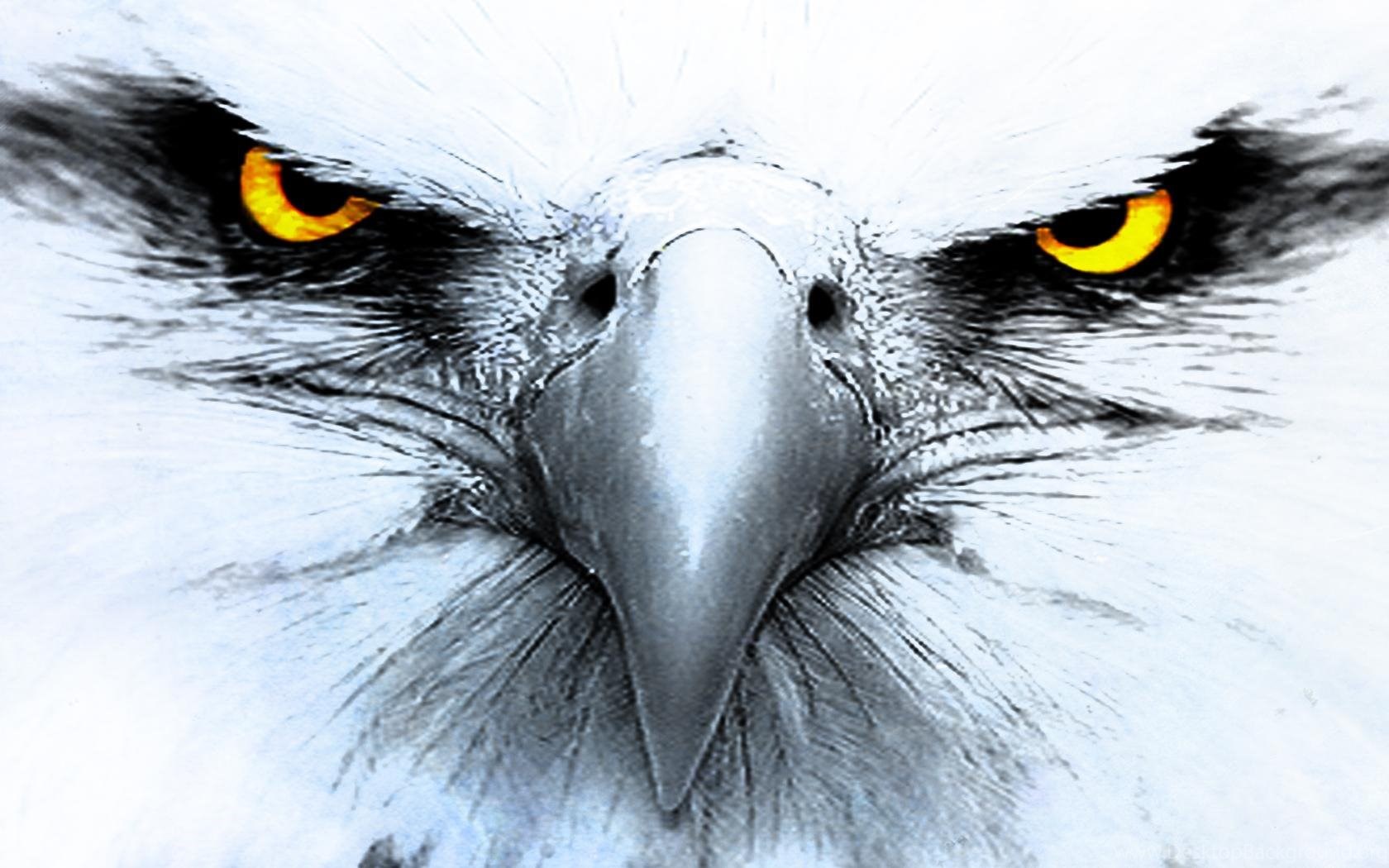 American Eagle Hd Wallpapers