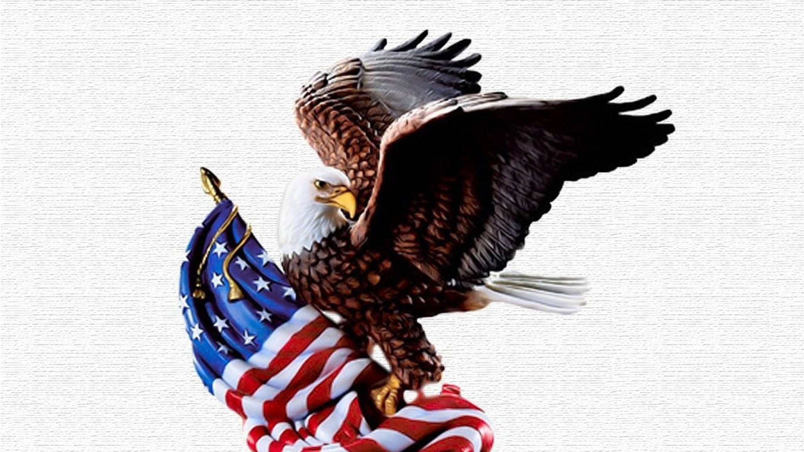 American Eagle Hd Wallpapers