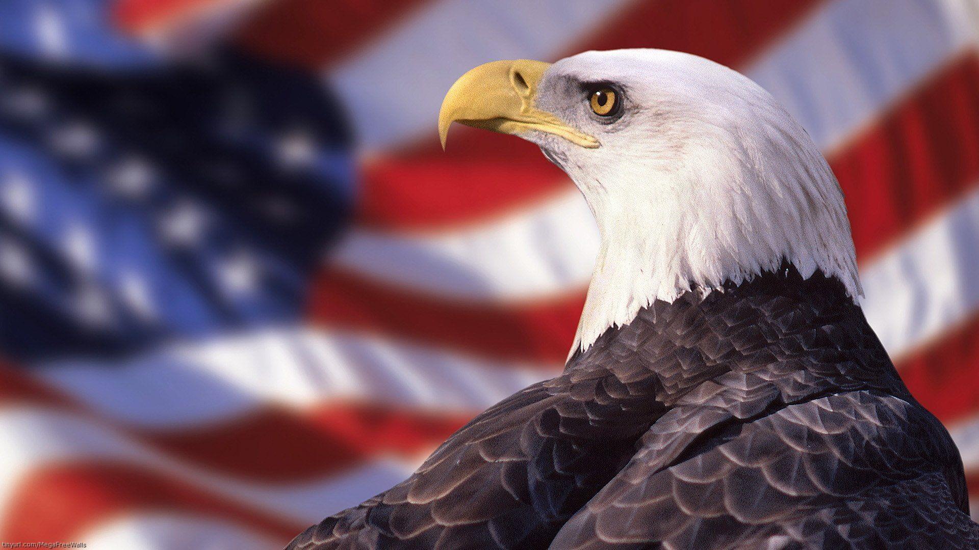 American Eagle Logo Wallpapers