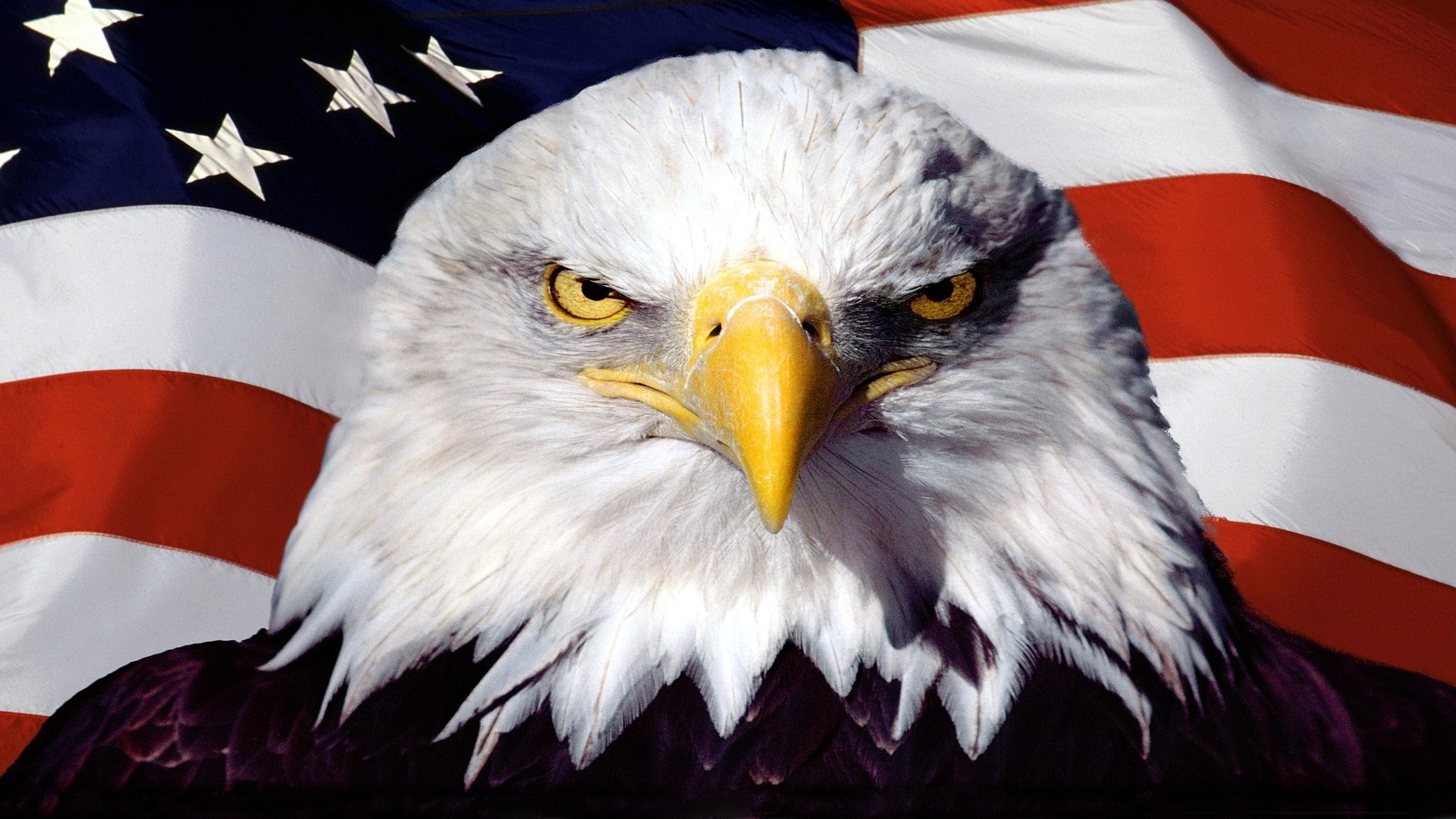 American Flag And Eagle Background