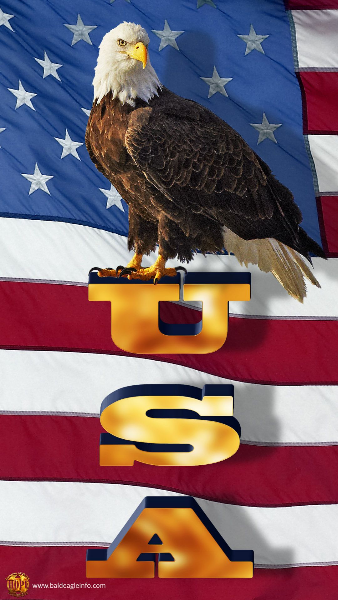 American Flag And Eagle Background