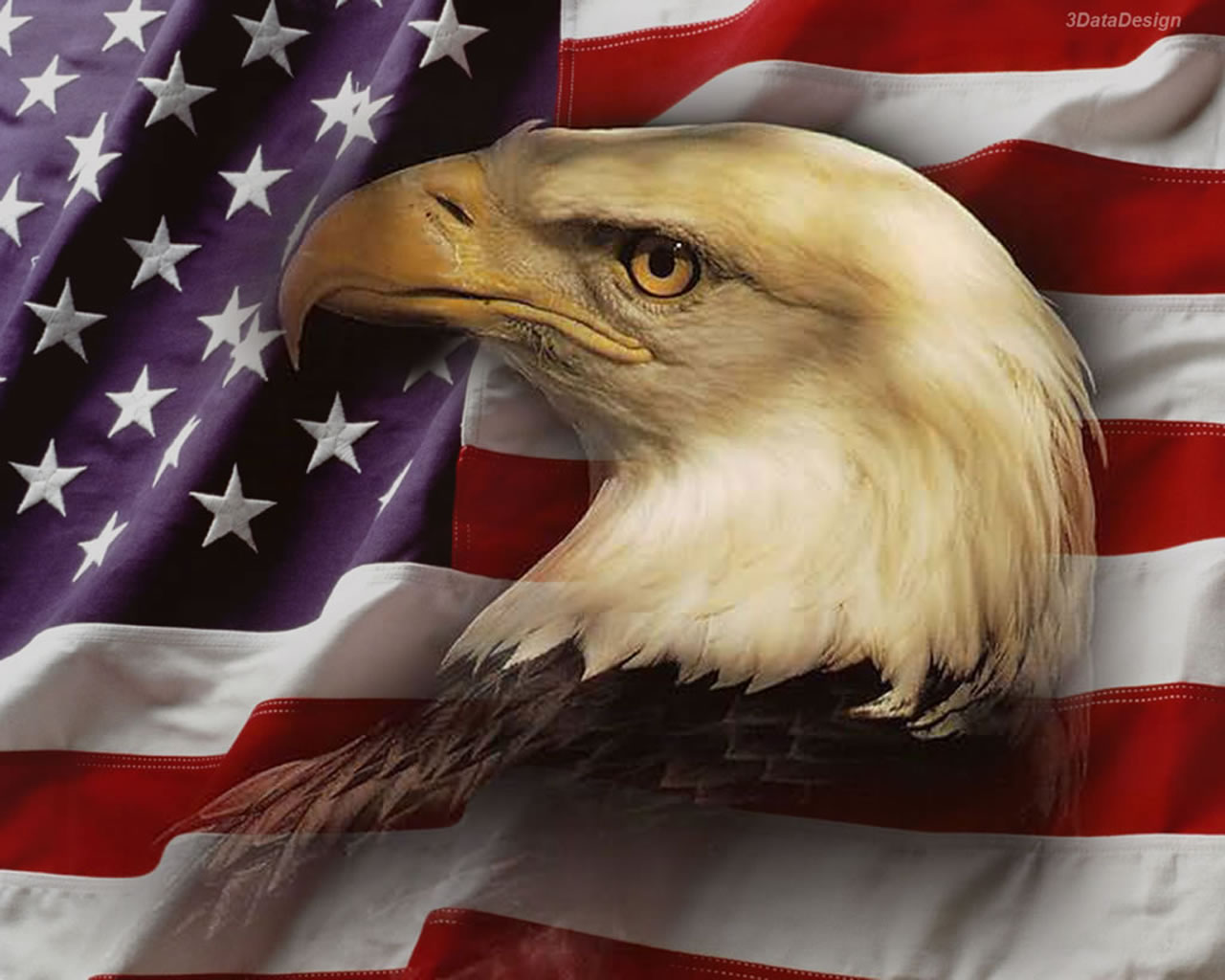 American Flag And Eagle Background