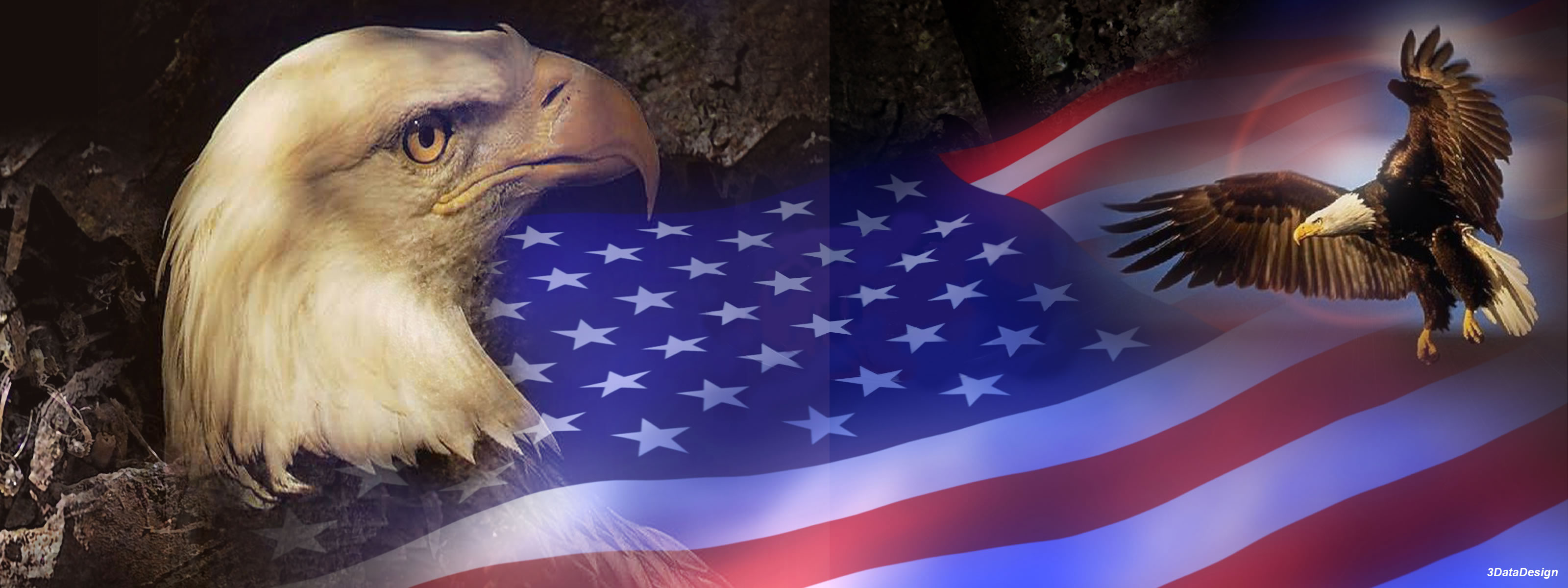 American Flag And Eagle Background