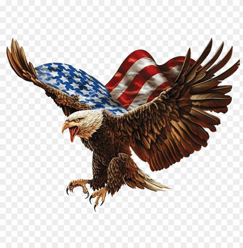 American Flag And Eagle Background