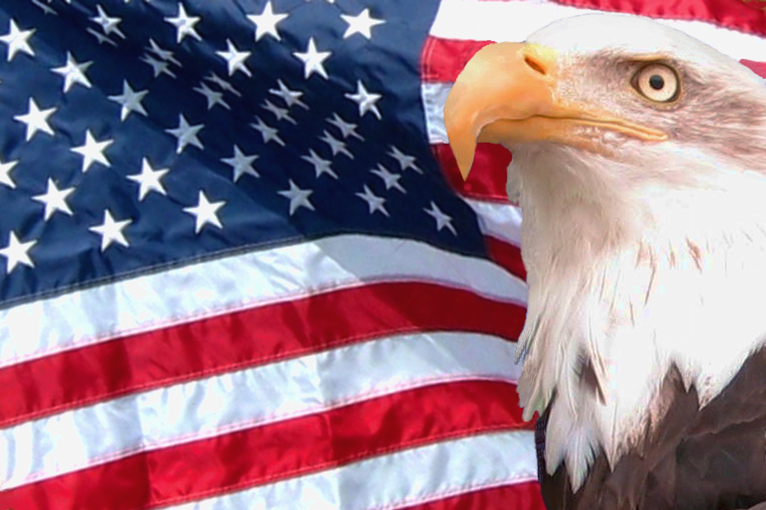 American Flag And Eagle Background