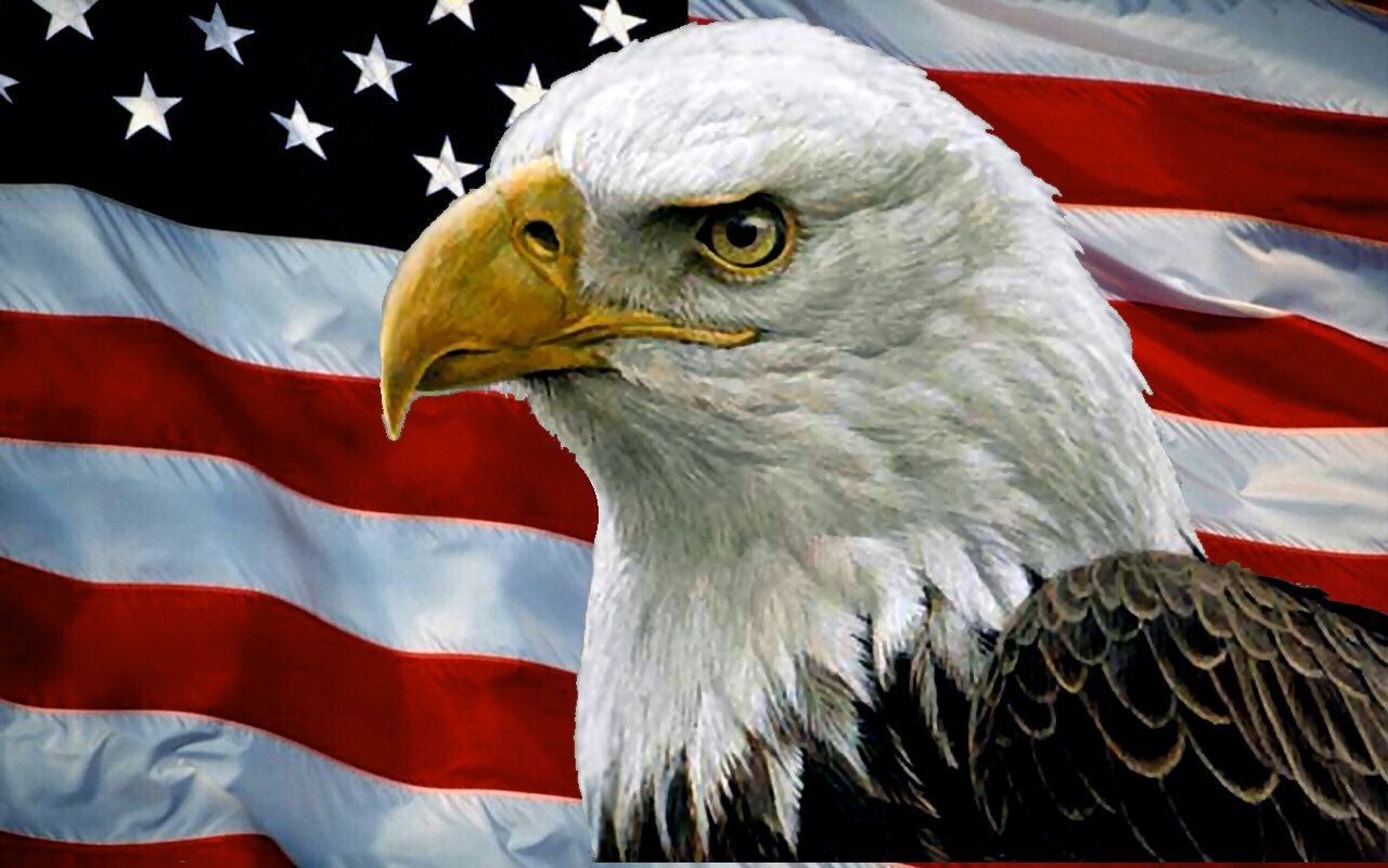 American Flag And Eagle Background