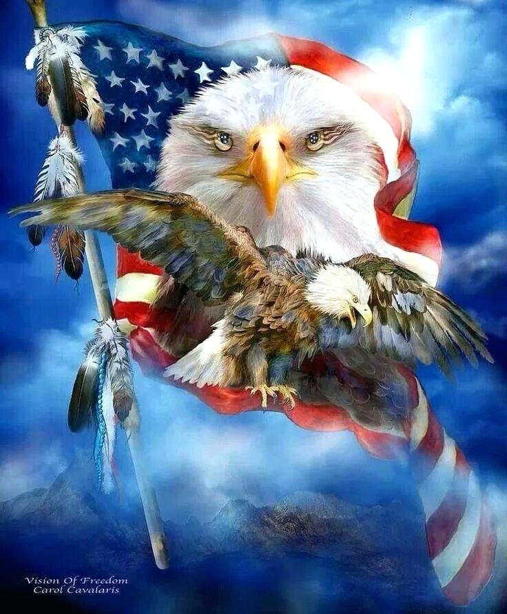 American Flag And Eagle Background