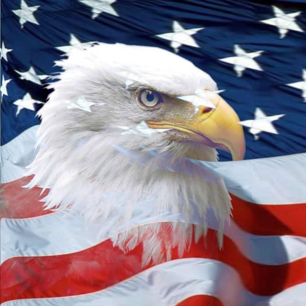 American Flag And Eagle Background