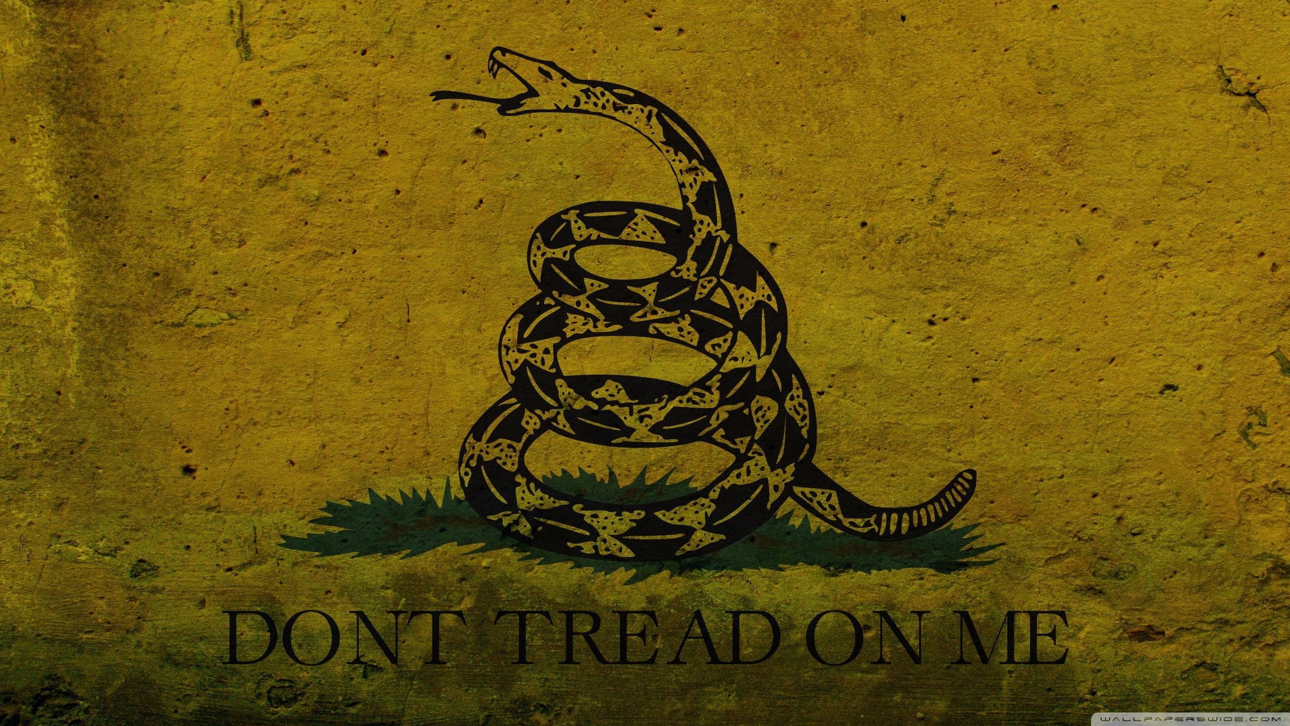 American Flag Dont Tread On Me Wallpapers