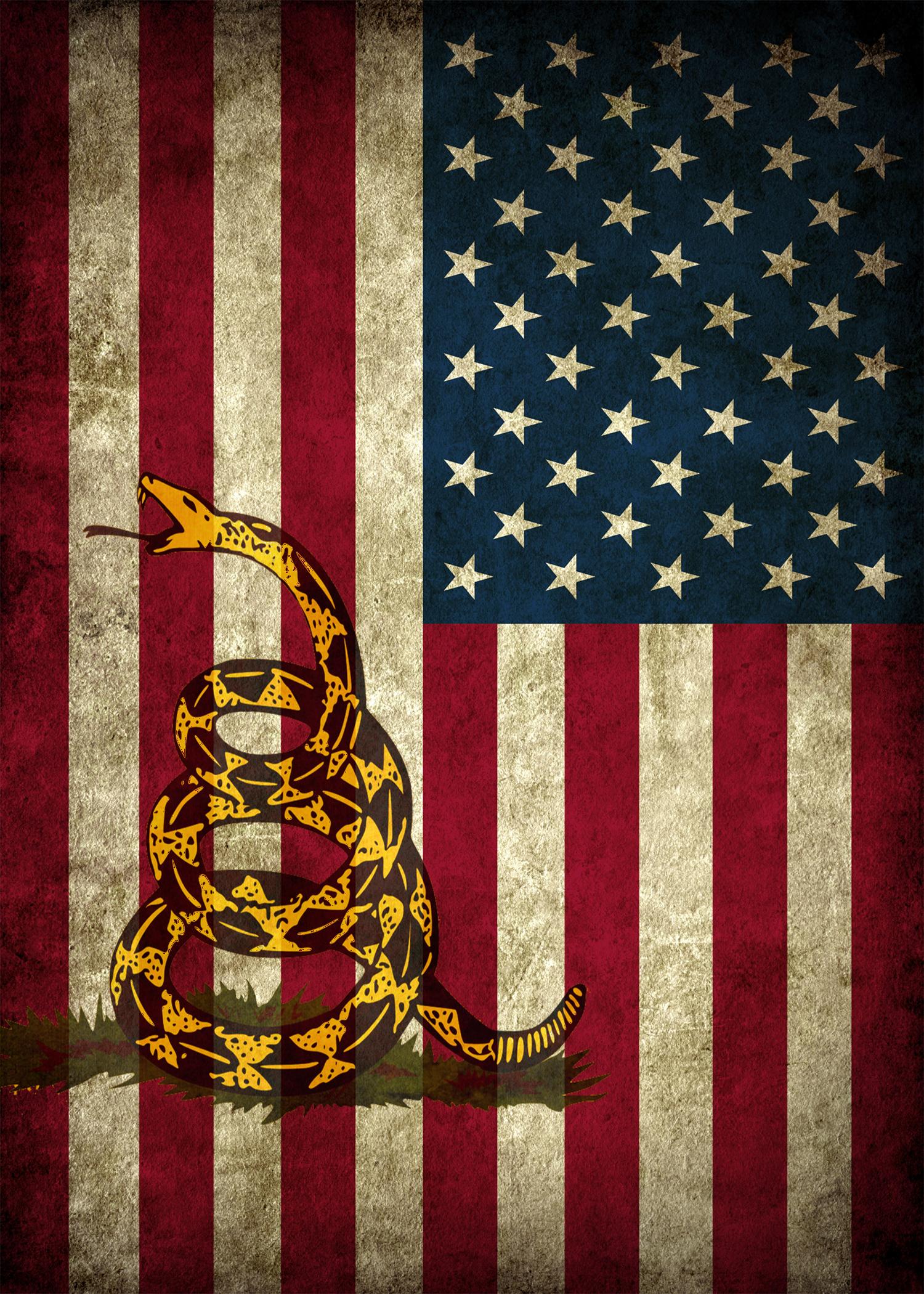 American Flag Dont Tread On Me Wallpapers