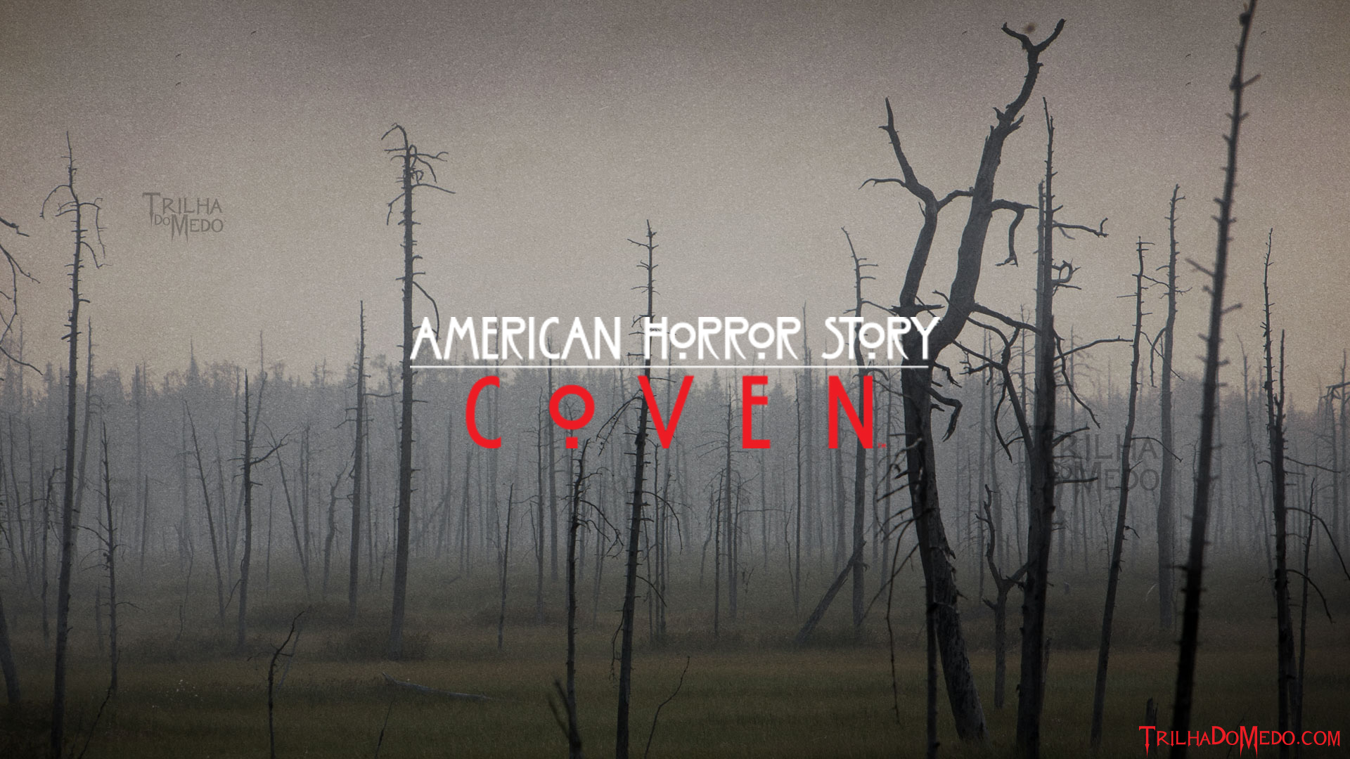 American Horror Story: Coven Wallpapers