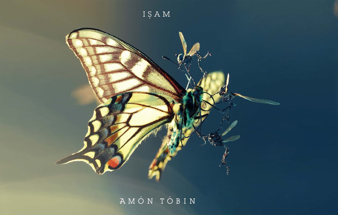 Amon Tobin Wallpapers