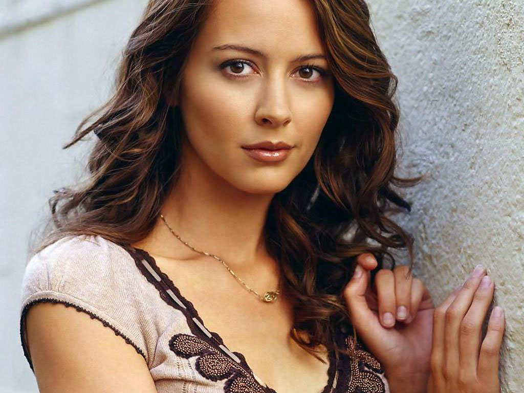 Amy Acker Wallpapers