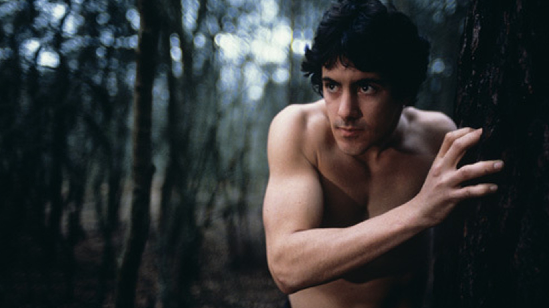 An American Werewolf In London (1981) Wallpapers