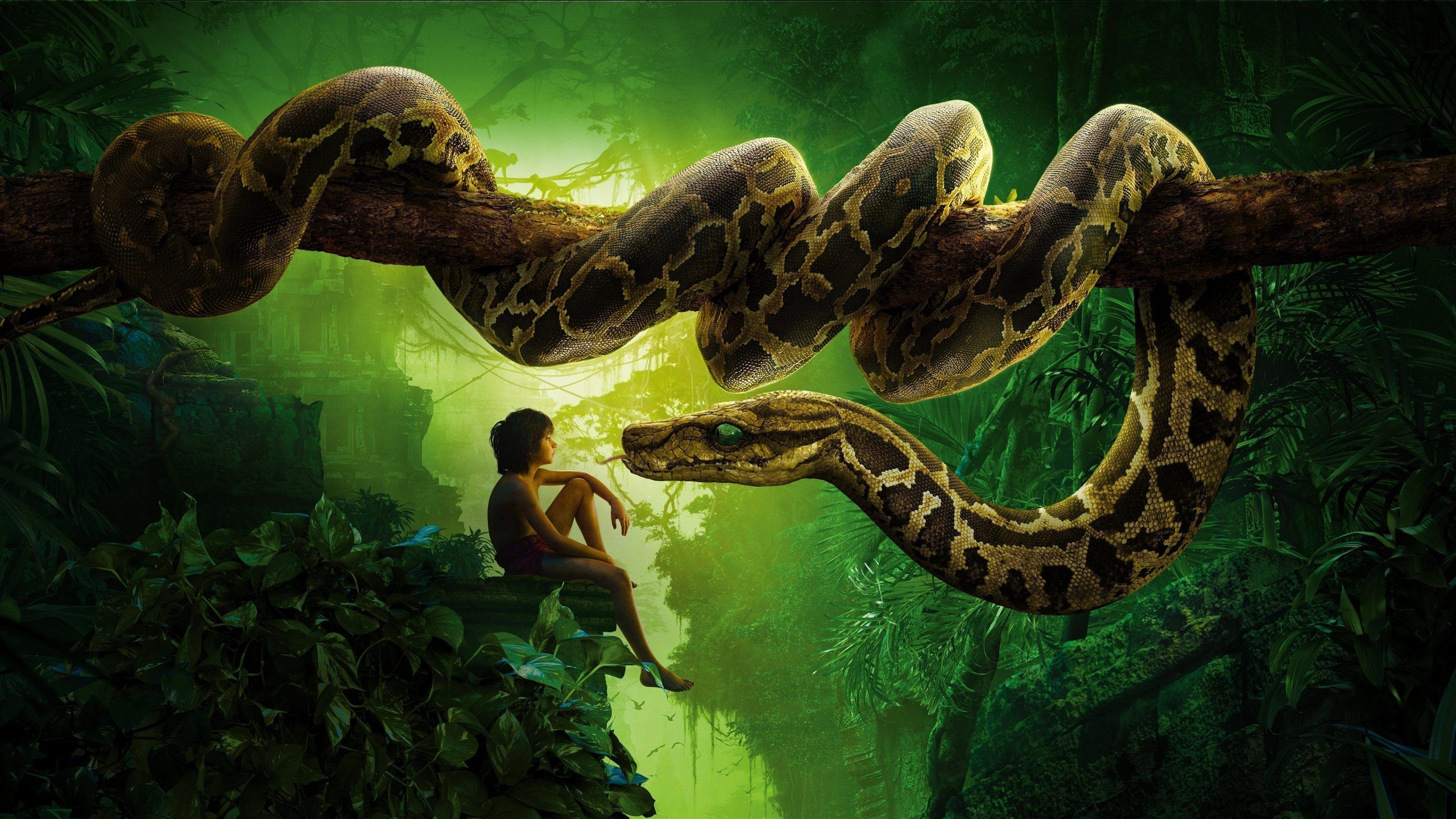 Anaconda Wallpapers