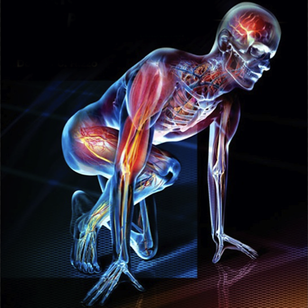 Anatomy And Physiology Wallpapers