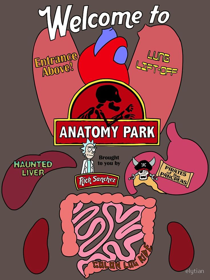 Anatomy Park Rick And Morty Wallpapers