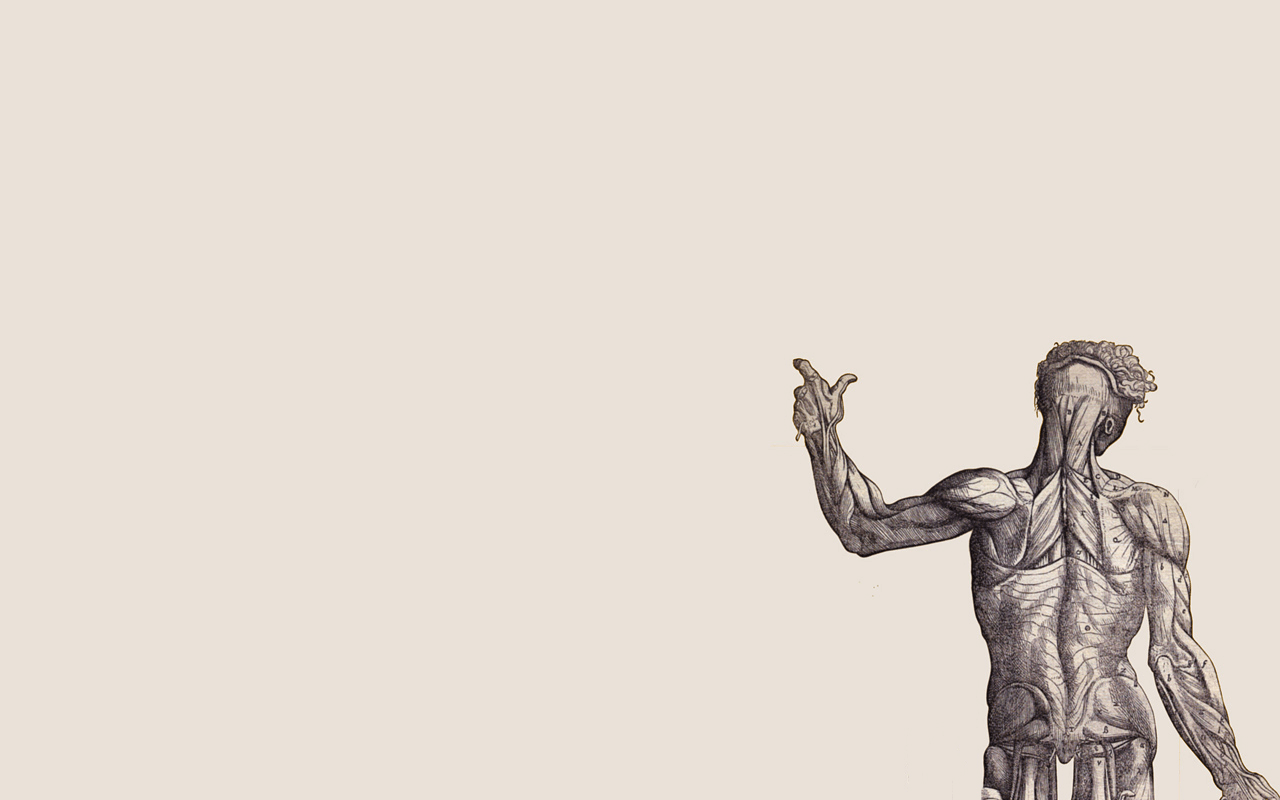 Anatomy Wallpapers