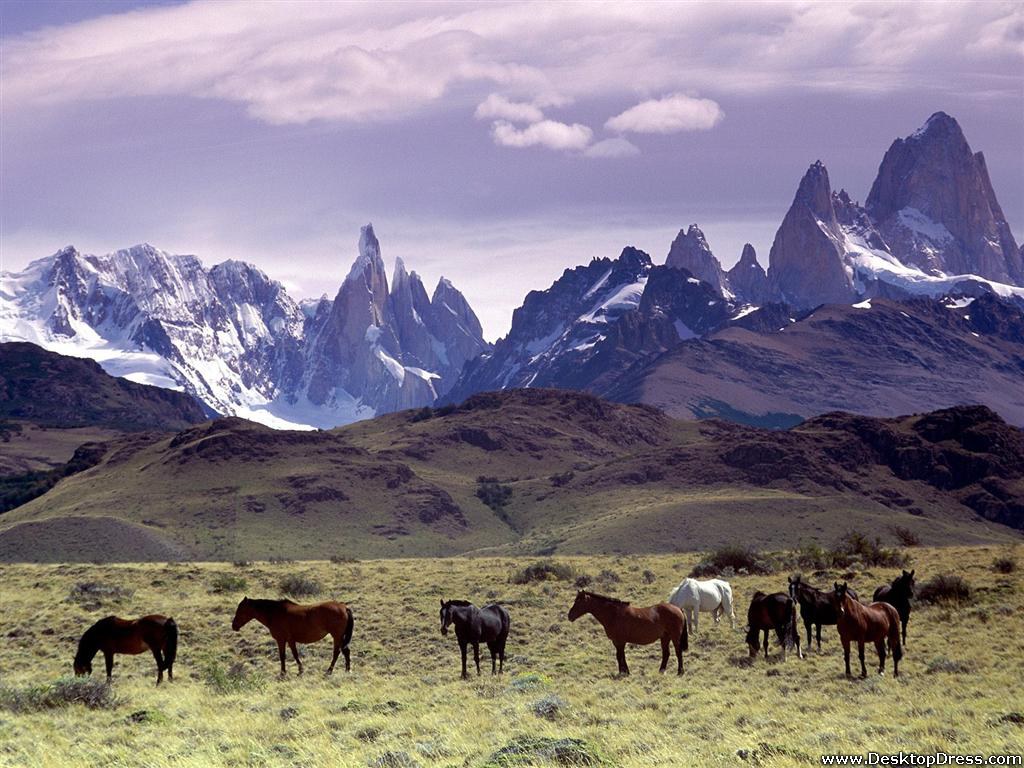 Andes Mountains Wallpapers