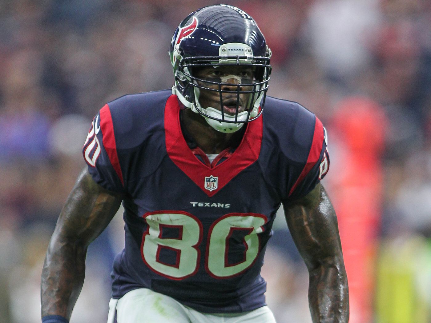 Andre Johnson Wallpapers