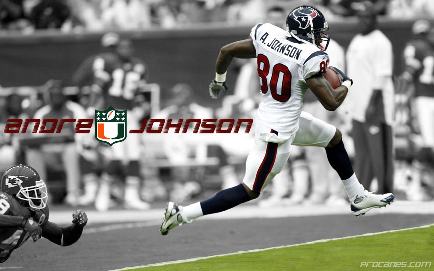 Andre Johnson Wallpapers