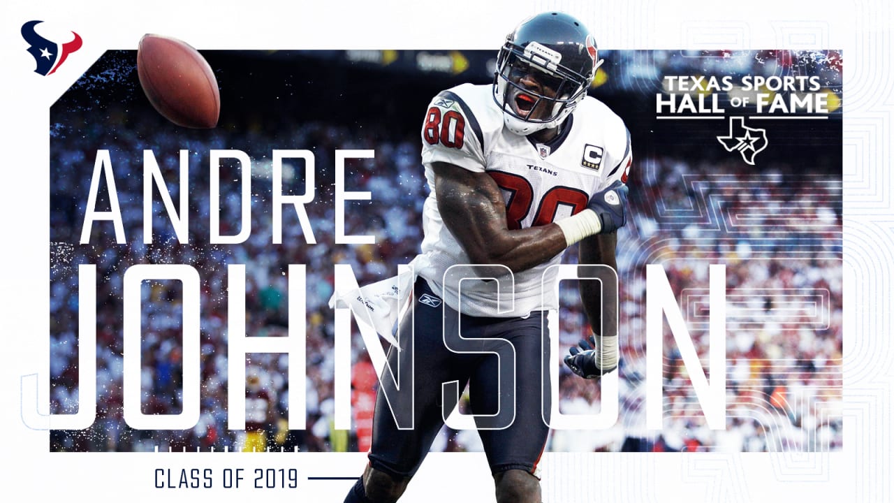 Andre Johnson Wallpapers