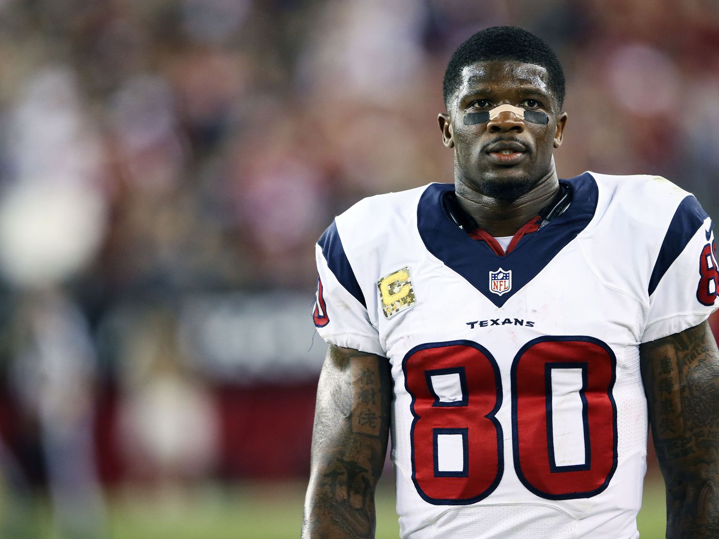 Andre Johnson Wallpapers