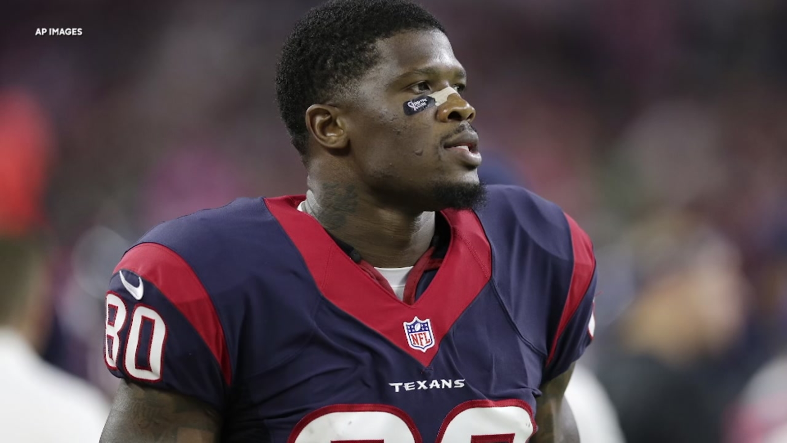 Andre Johnson Wallpapers