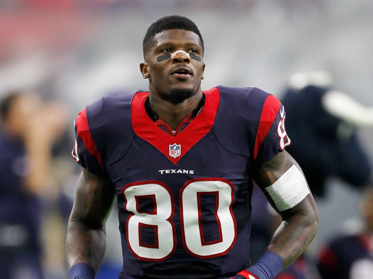 Andre Johnson Wallpapers