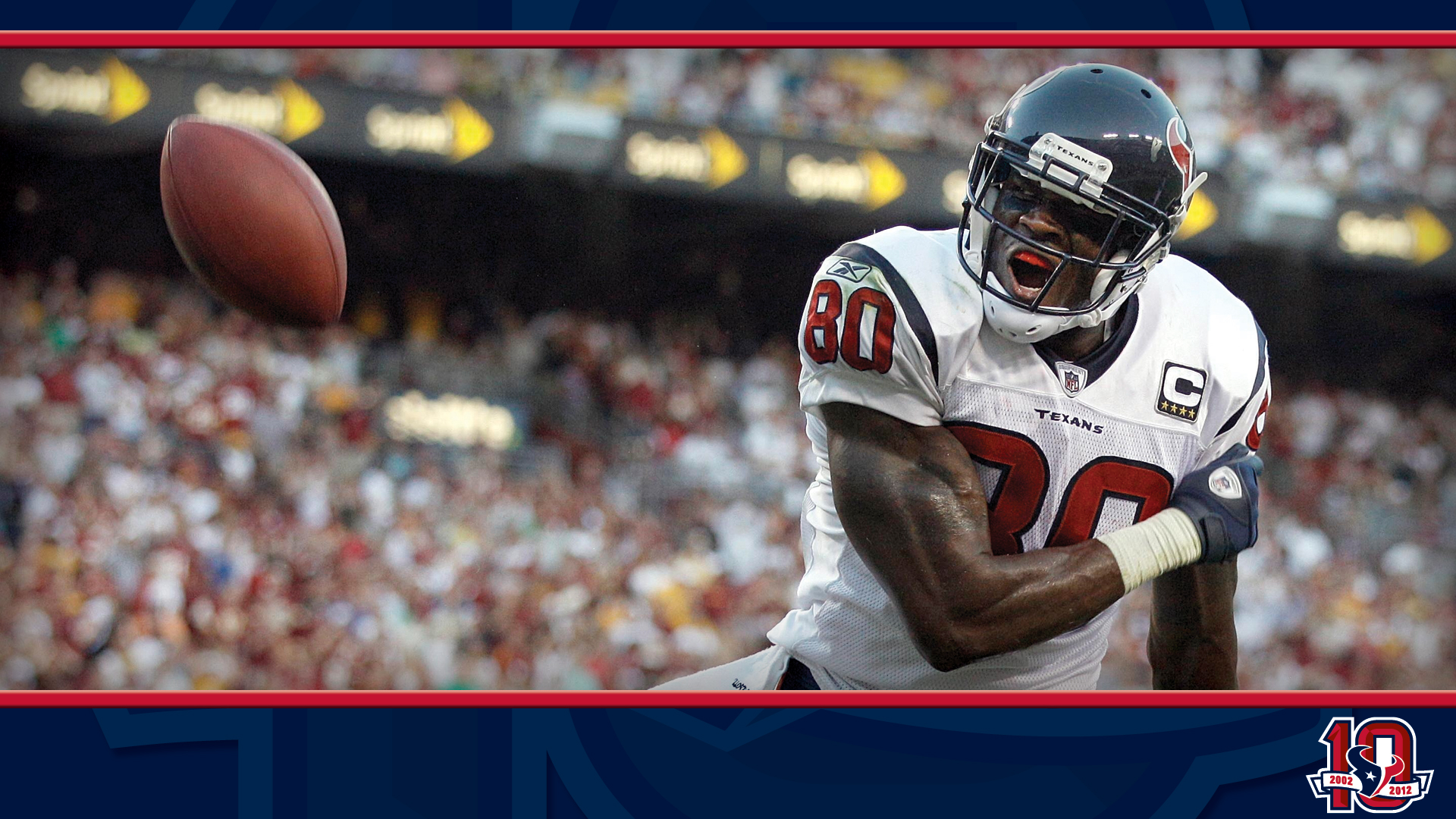 Andre Johnson Wallpapers