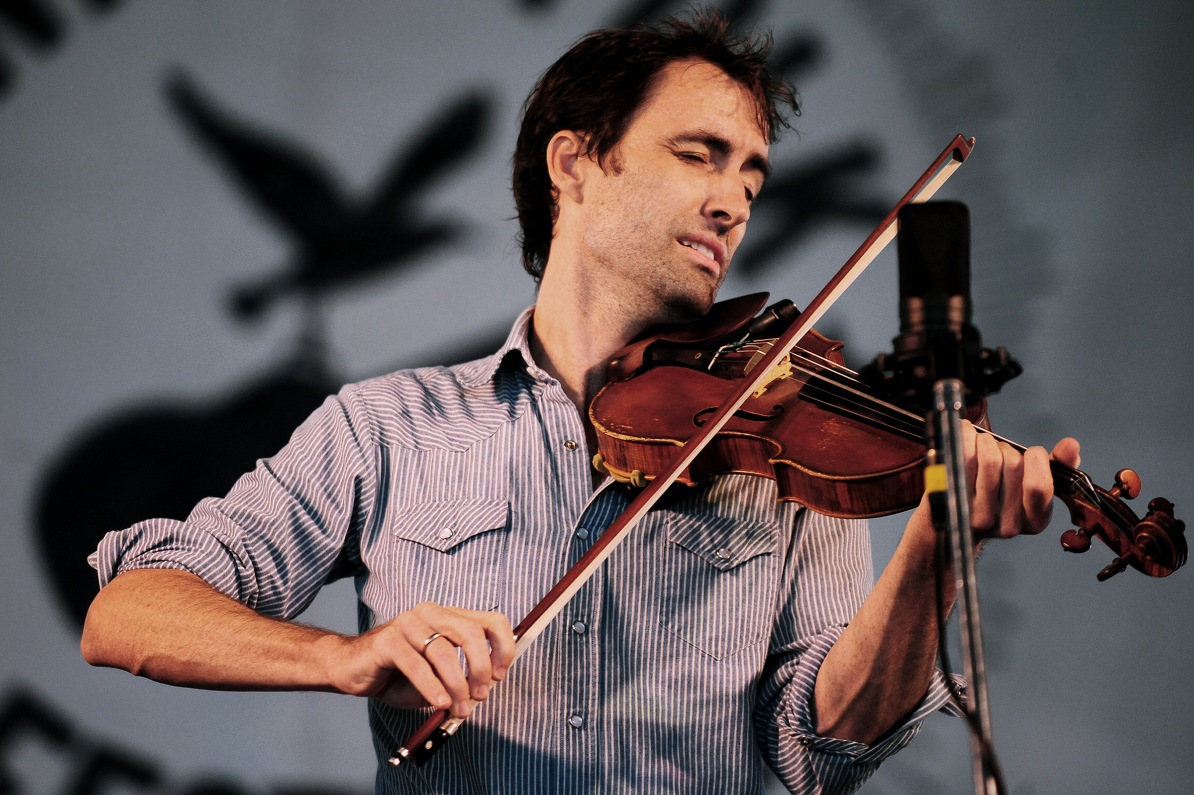 Andrew Bird Wallpapers