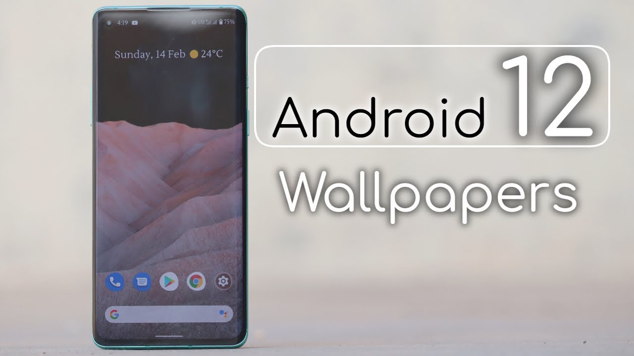 Android 12 Privacy Wallpapers