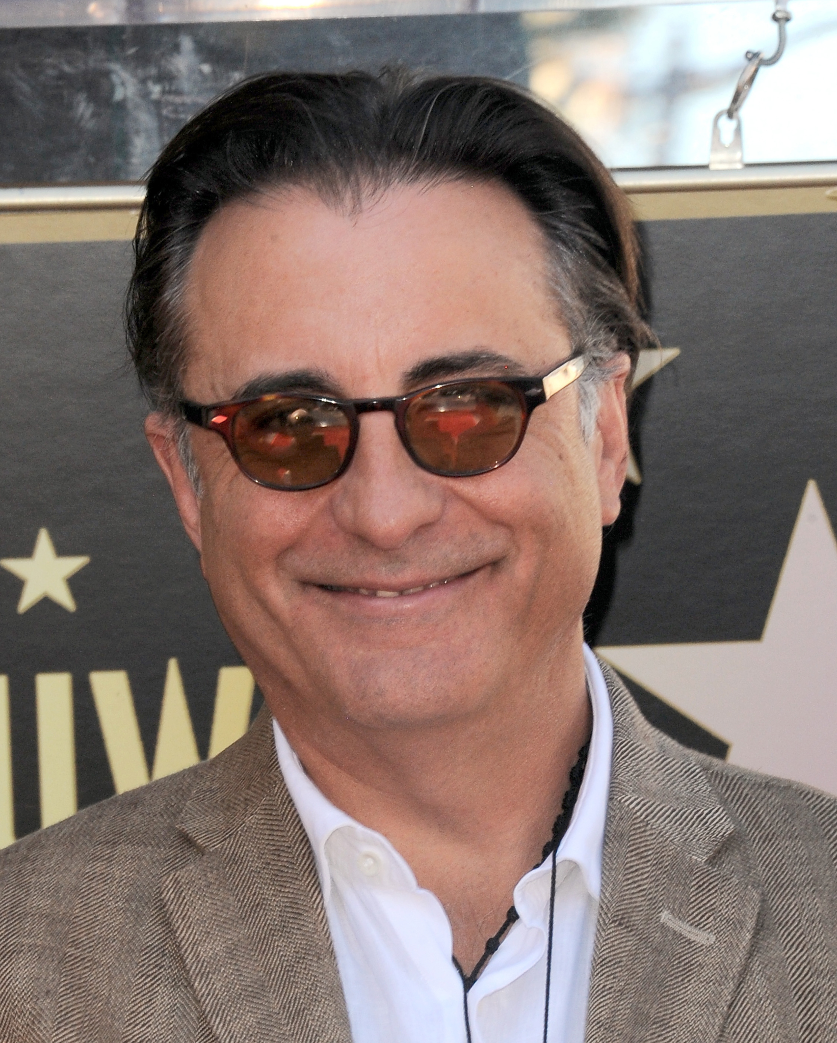 Andy Garcia Wallpapers