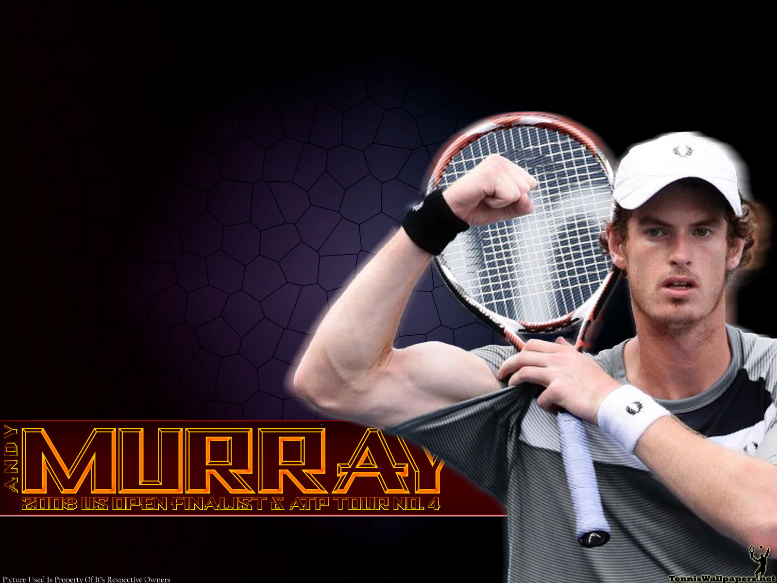 Andy Murray Wallpapers