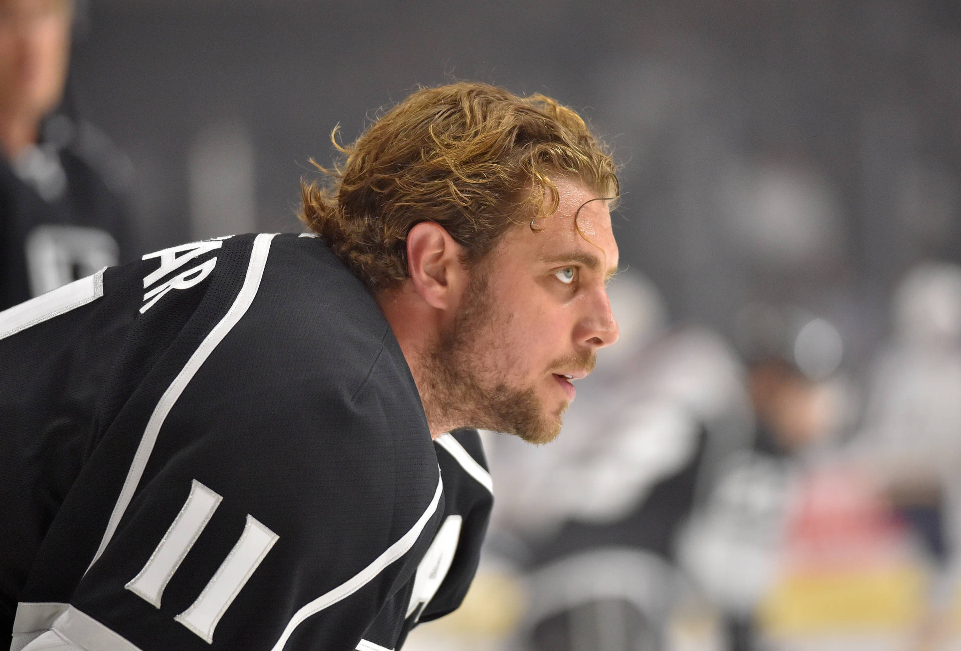 Anеѕe Kopitar Wallpapers