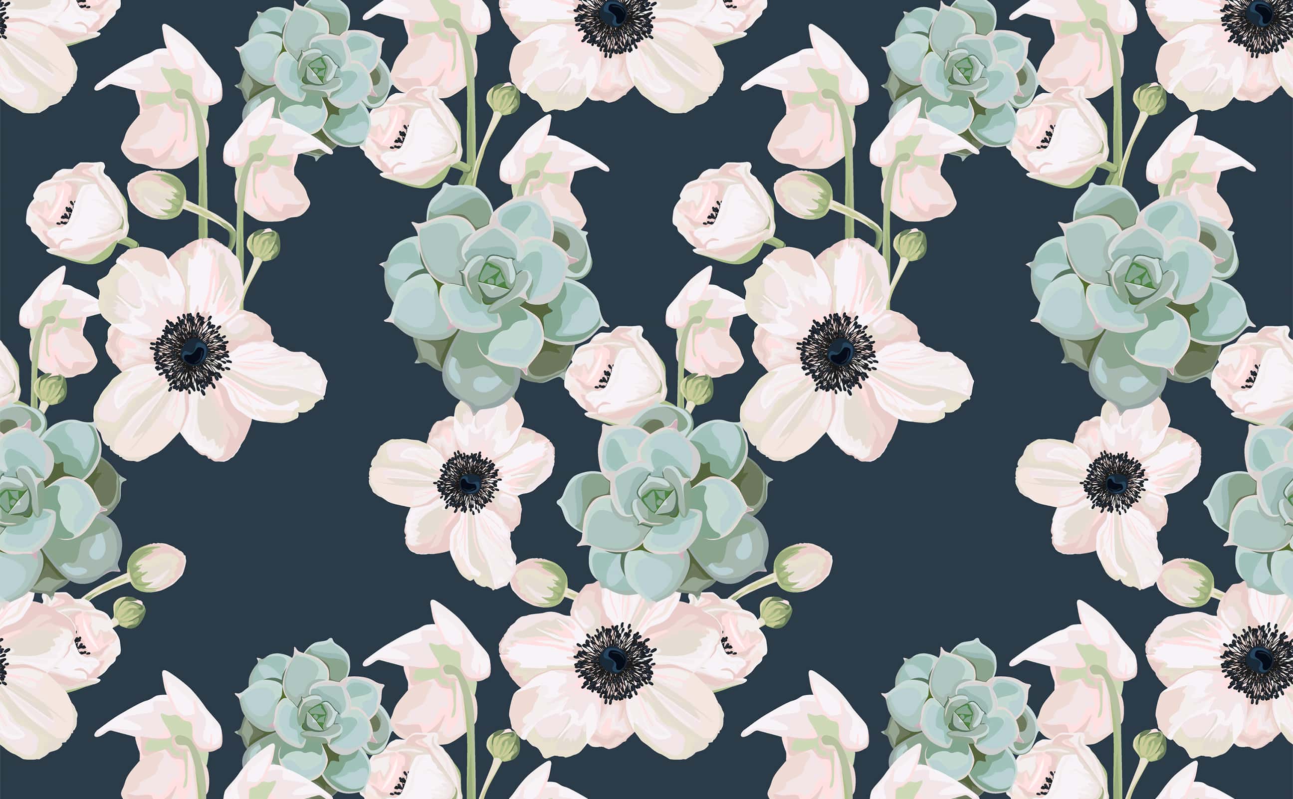 Anemone Wallpapers