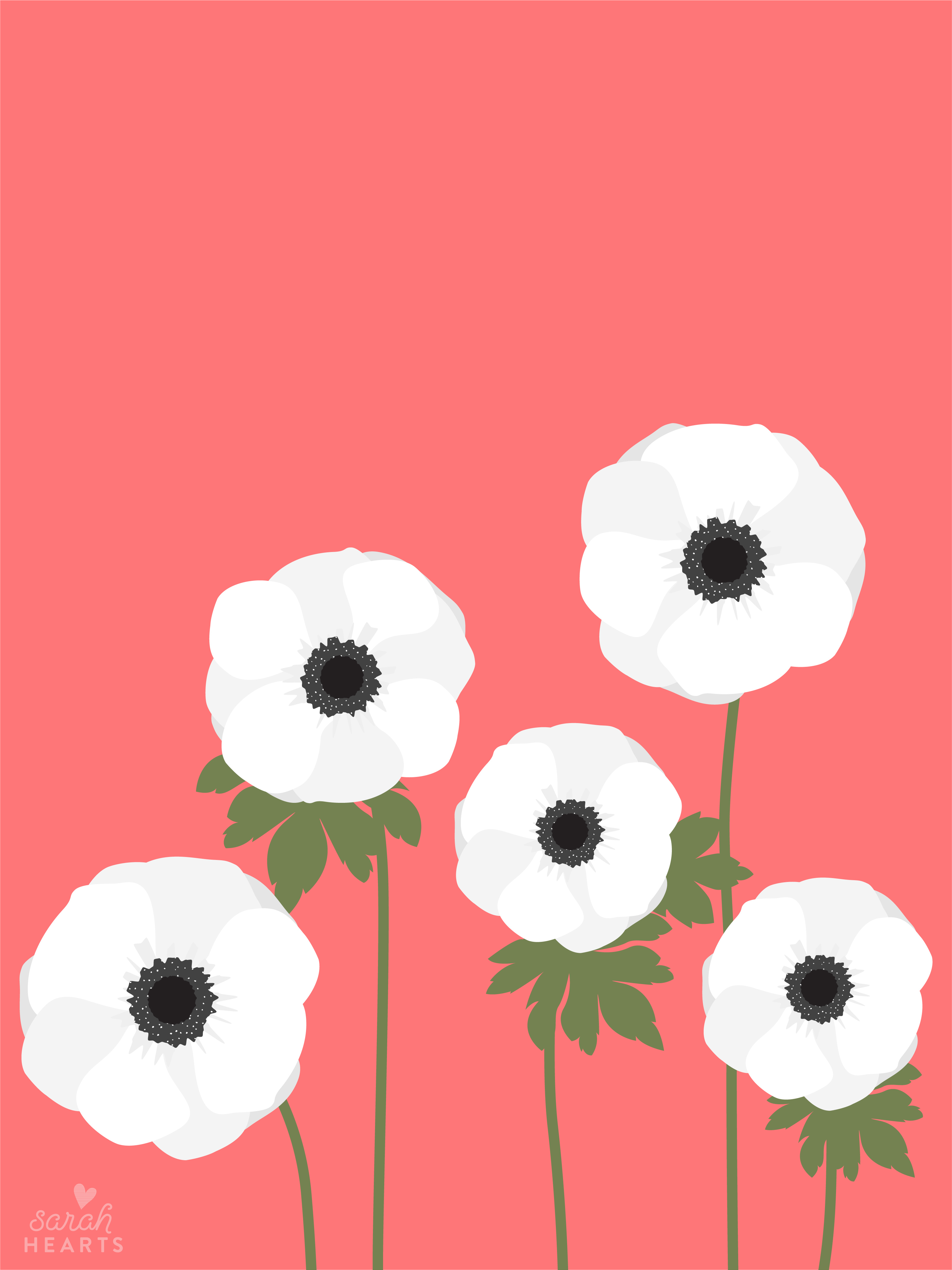 Anemone Wallpapers