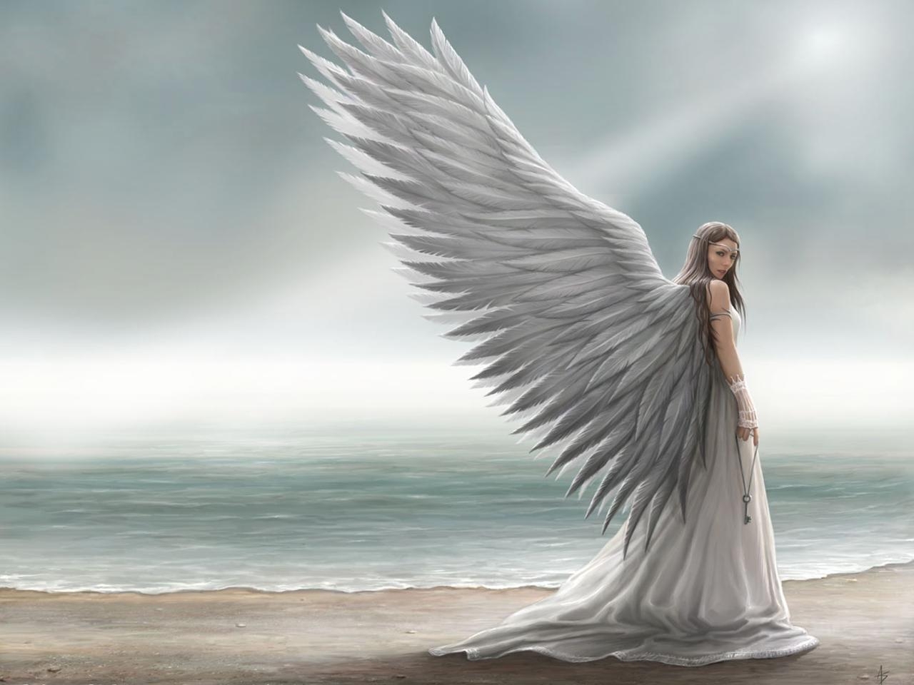 Angel Free Wallpapers